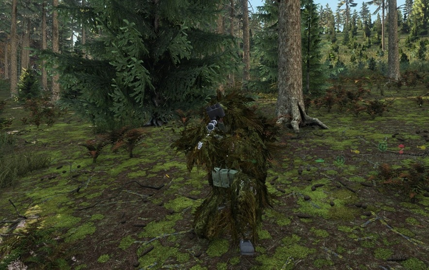 DayZ 2